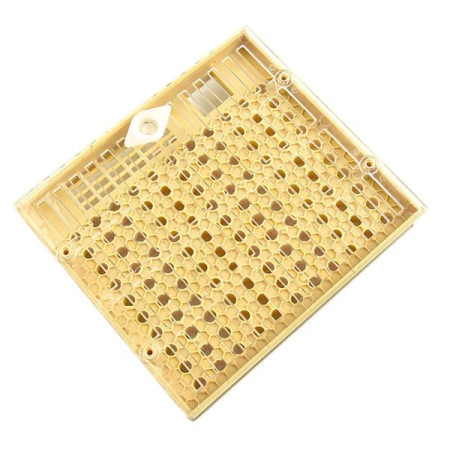 Chovný rámik BEE d. 13cm x š. 14,5cm x v. 2,6cm Chovný rámik BEE d. 13cm x š. 14,5cm x v. 2,6cm
