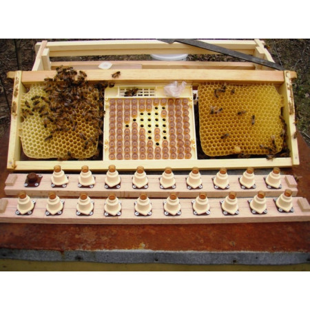 Chovný rámik BEE d. 13cm x š. 14,5cm x v. 2,6cm Chovný rámik BEE d. 13cm x š. 14,5cm x v. 2,6cm